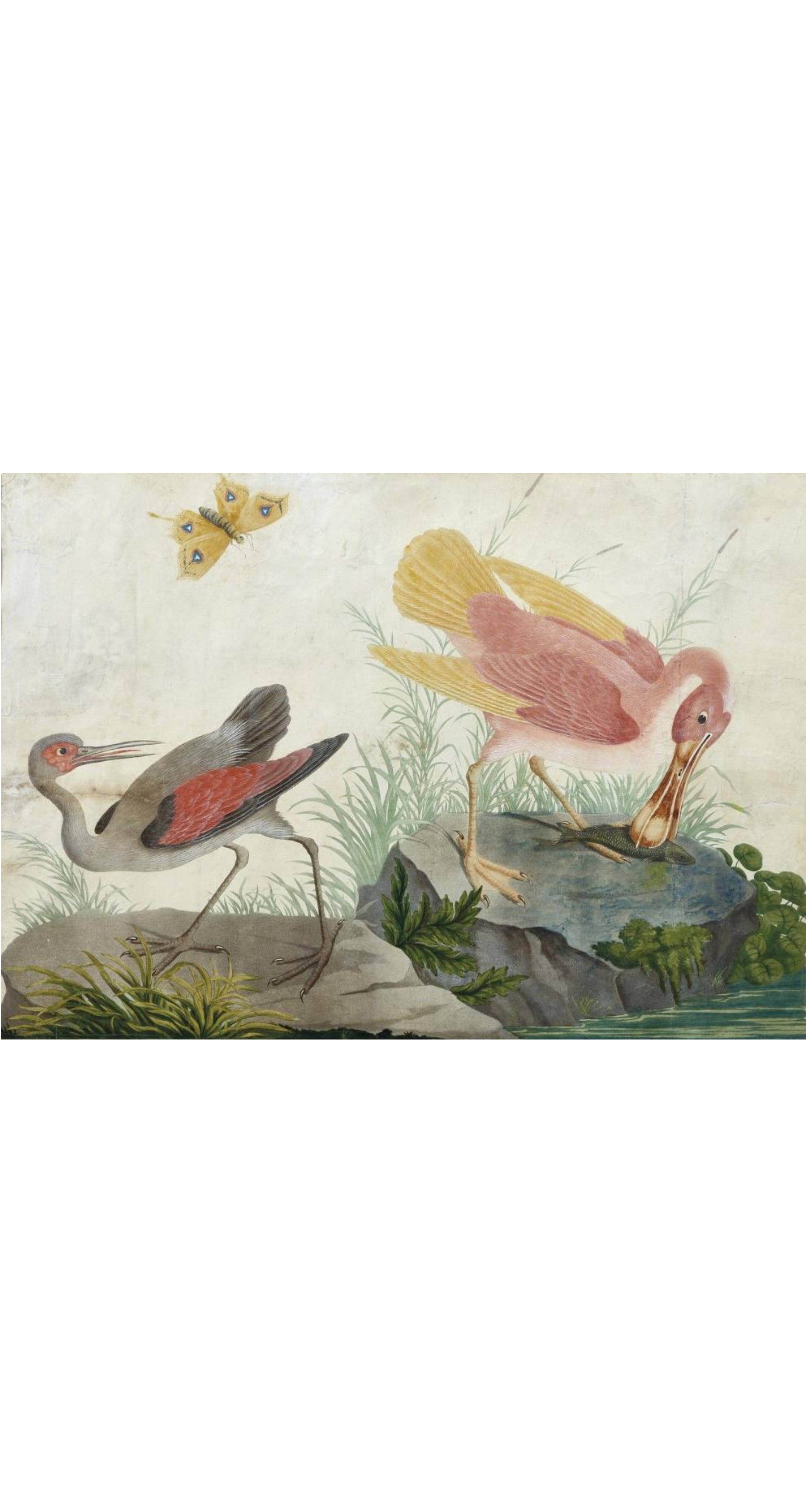 1990s "Omaggio ai Raineri" Bird Print Chartreuse Silk Chiffon Scarf