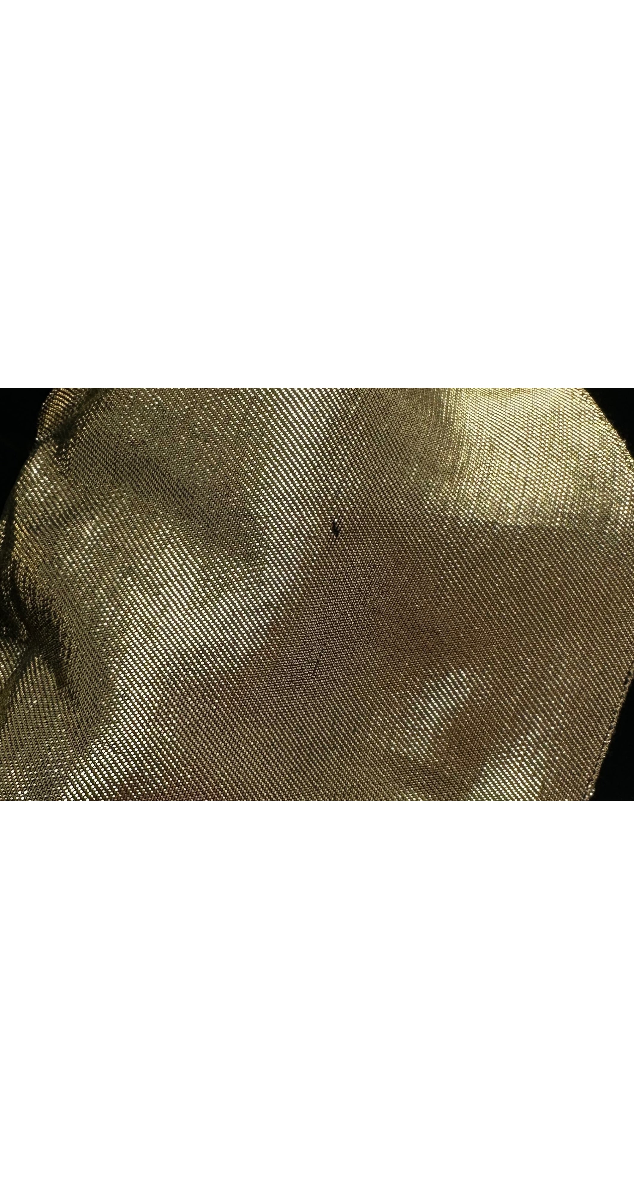 1981-82 F/W Gold Lamé Collar Black Velvet Dress