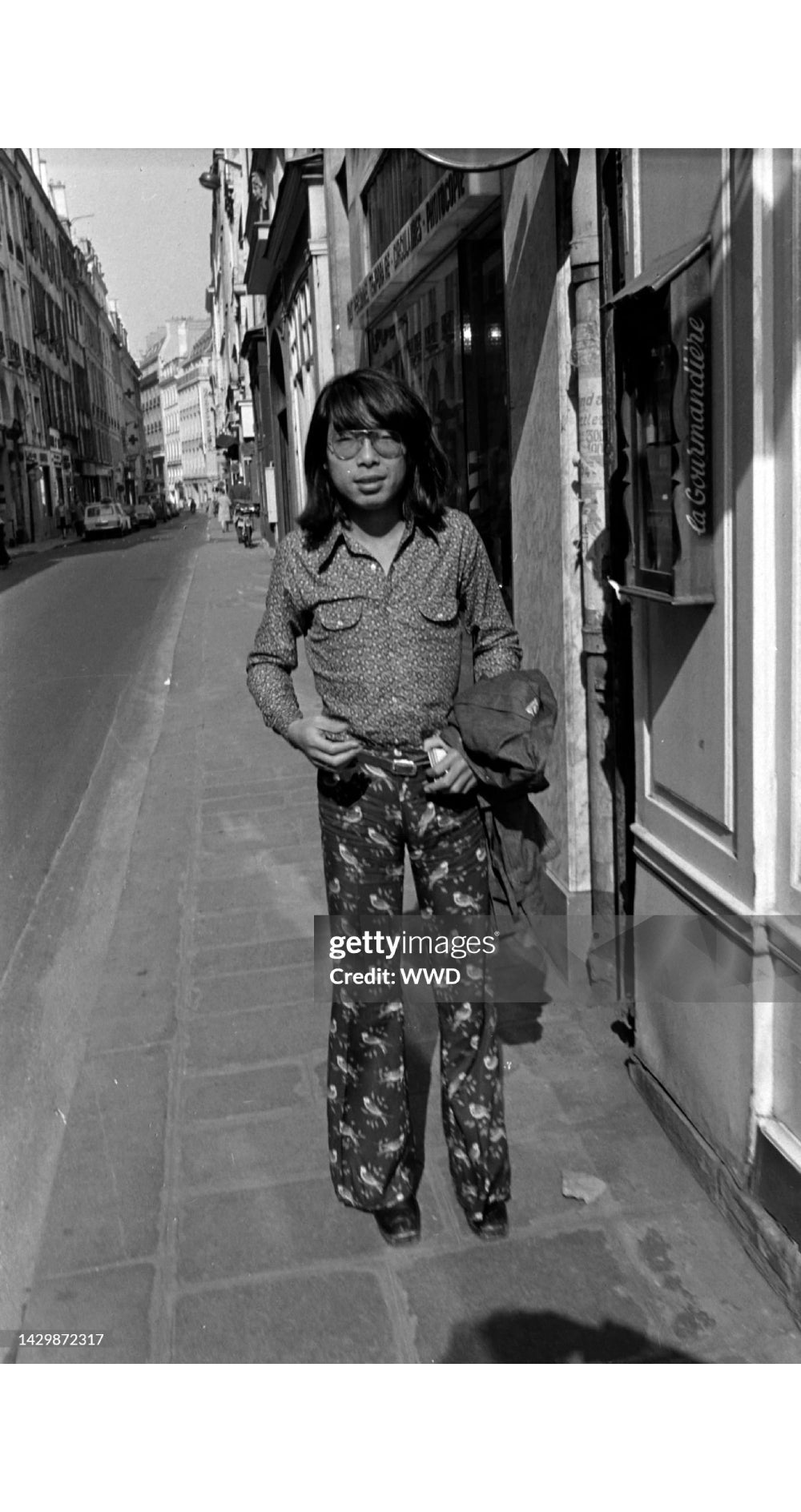 1972 Swallow Print Cotton Tiered Ruffle Maxi Skirt