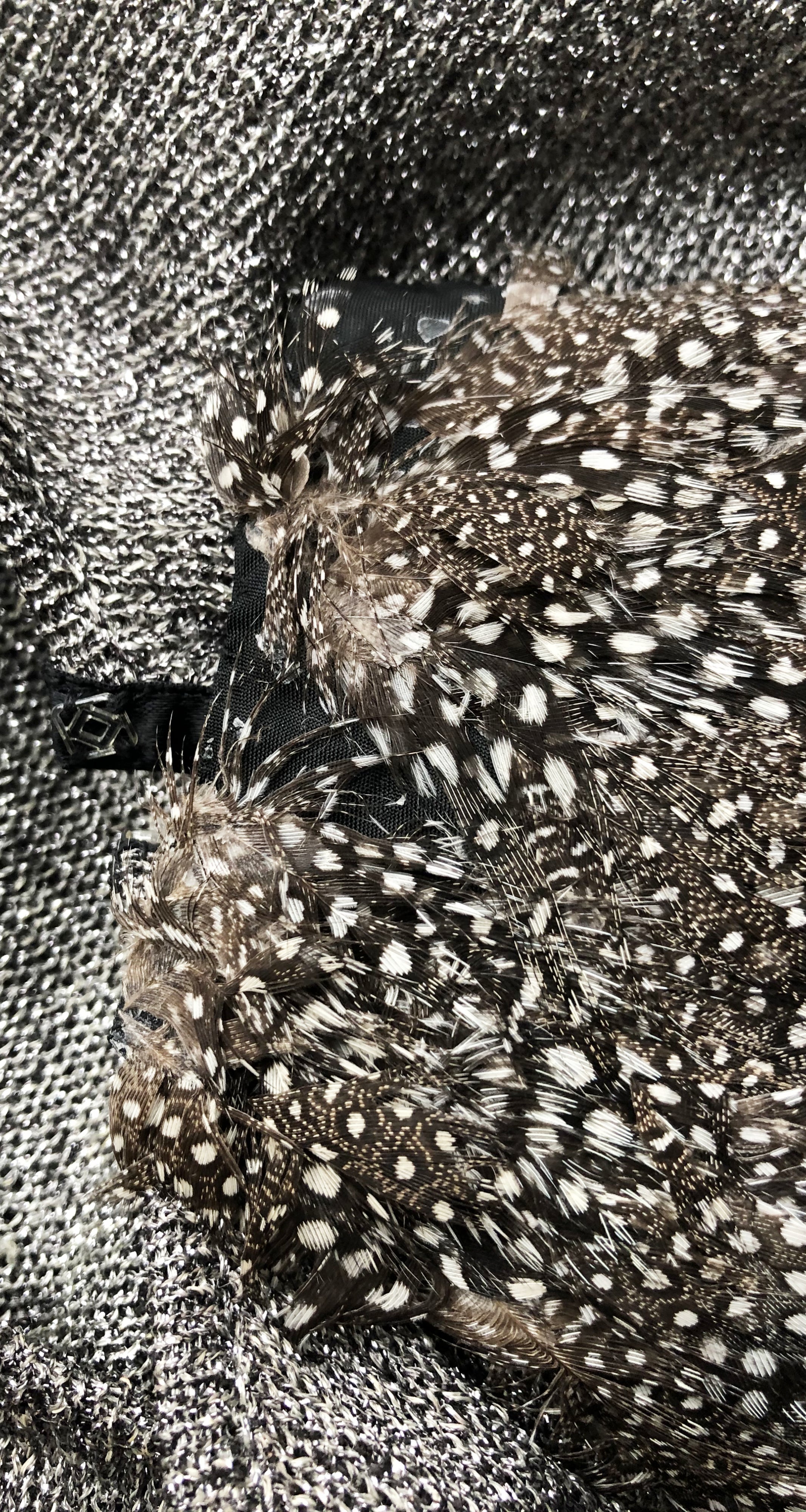 1980s Avant-Garde Feather Shoulder Silver Lurex Sweater