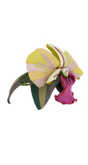 1940s Surrealist Wool & Leather Orchid Fascinator